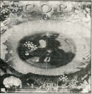 Record cover for Scorn.